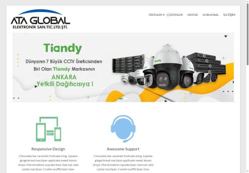 ataglobaltr.com capture - 2025-08-12 16:53:30