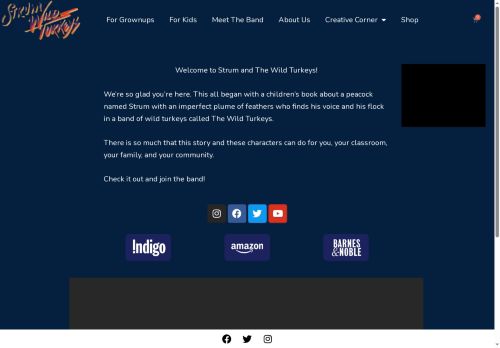 strumandtwt.com capture - 2025-08-12 17:24:06