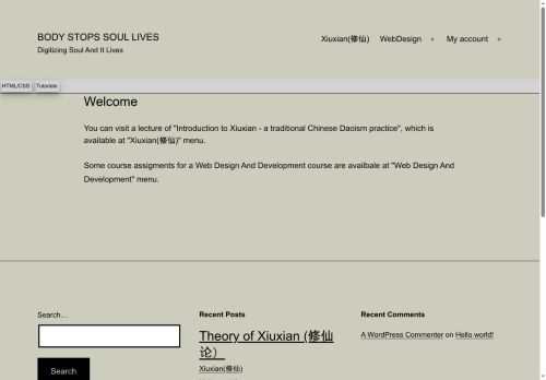 backupsoul.com capture - 2025-08-12 20:45:58