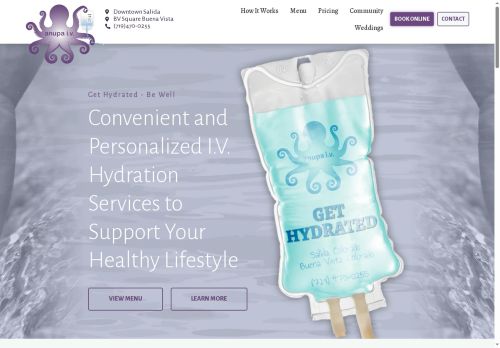 anupaiv.com capture - 2025-08-12 22:43:11