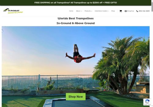 inthegroundtrampoline.com capture - 2025-08-13 02:56:05