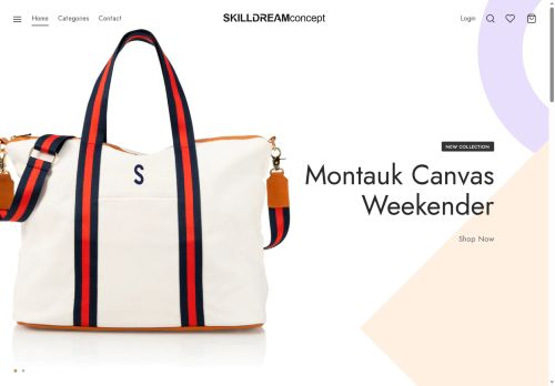 skilldreamconcept.com capture - 2025-08-13 04:30:55