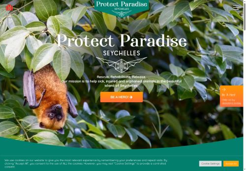 protectparadisey.com capture - 2025-08-13 08:45:25