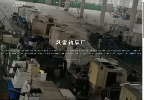 flzcbearings.com capture - 2025-08-13 13:14:21