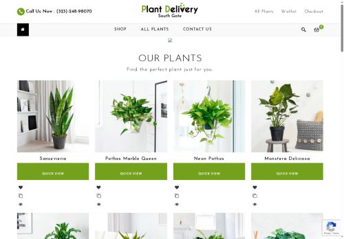 plantsdeliverysouthgate.com capture - 2025-08-13 23:21:29