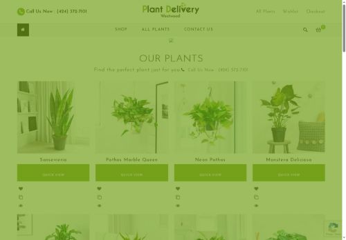 plantsdeliverywestwood.com capture - 2025-08-13 23:22:54