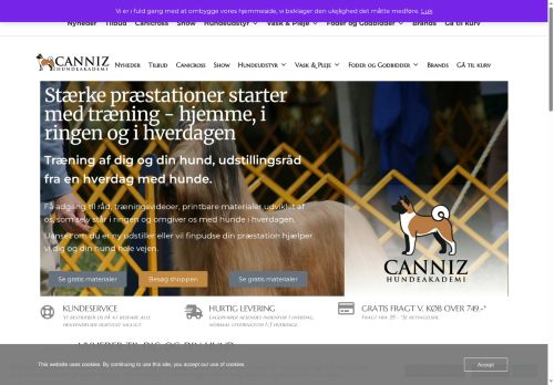 canniz.com capture - 2025-08-13 23:34:46