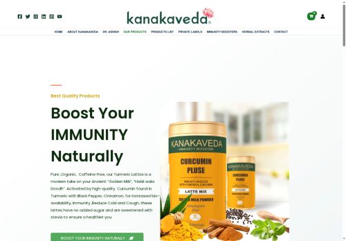 kanakavedainternational.com capture - 2025-08-14 03:22:31