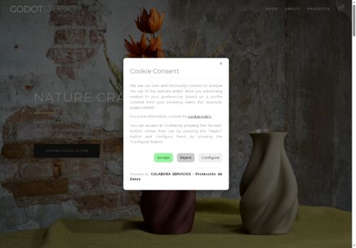 godotstudio.com capture - 2025-08-14 04:29:20