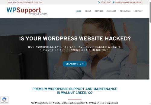 wpsupportwalnutcreek.com capture - 2025-08-14 08:58:19
