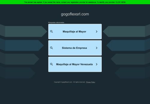 gogoflexsrl.com capture - 2025-08-14 14:14:18
