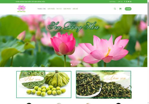 sendonghoa.com capture - 2025-08-14 20:02:45