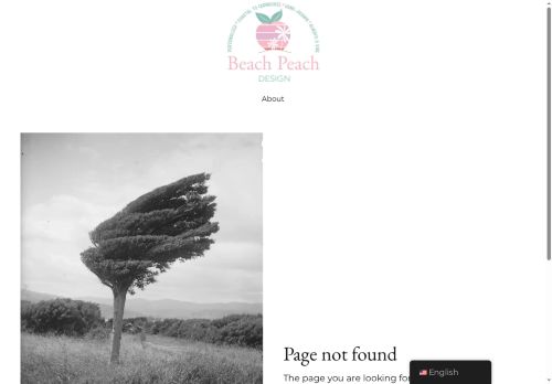 beachpeachdesign.com capture - 2025-08-14 22:48:30