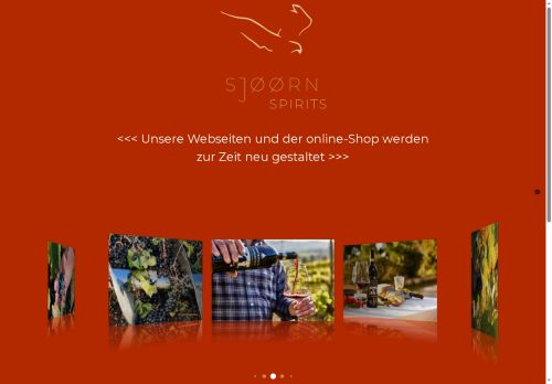 xn--sjrn-spirits-wjba.com capture - 2025-08-15 06:09:37