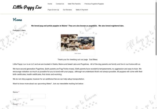 littlepuppyluv.com capture - 2025-08-15 10:50:49