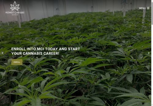 mcistl.com capture - 2025-08-15 15:05:40