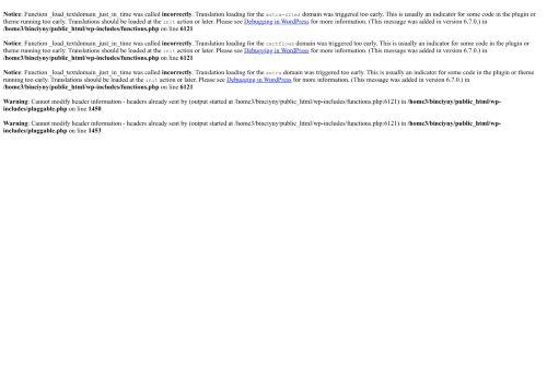 bincityny.com capture - 2025-08-15 17:22:28