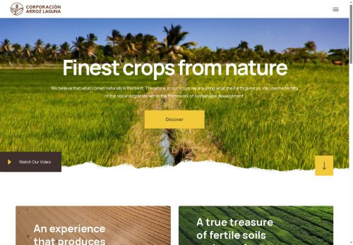 corporacionarrozlaguna.com capture - 2025-08-15 21:50:13