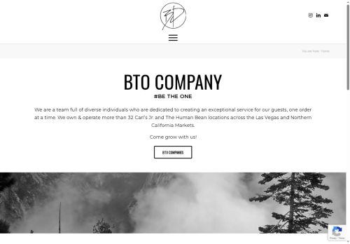 btocompany.com capture - 2025-08-15 22:35:15