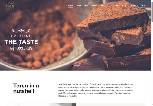 torenusa.com capture - 2025-08-16 07:40:40