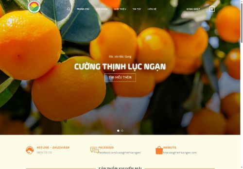 htxcuongthinhlucngan.com capture - 2025-08-16 09:14:42