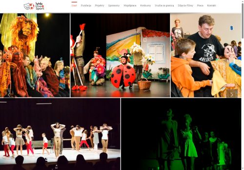 sesfundacja.com capture - 2025-08-16 11:12:09