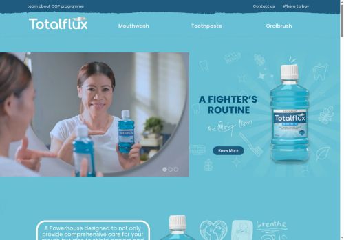 totalflux-me.com capture - 2025-08-16 16:16:59