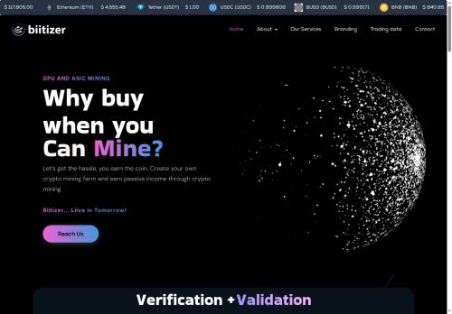 biitizer.com capture - 2025-08-16 19:32:29