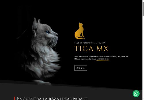 ticamx.com capture - 2025-08-16 23:22:52