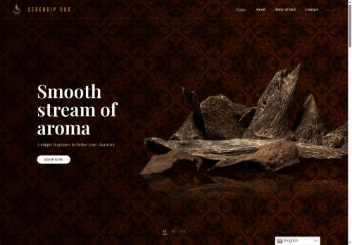 serendipoud.com capture - 2025-08-17 04:42:23