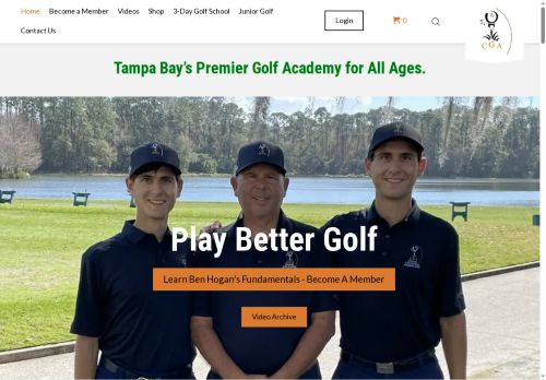 cestonegolfshoes.com capture - 2025-08-17 04:53:10