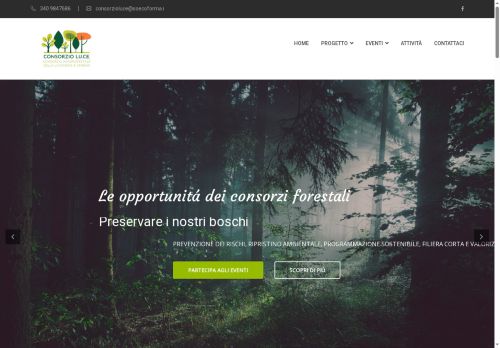consorzioluce.com capture - 2025-08-17 05:34:42