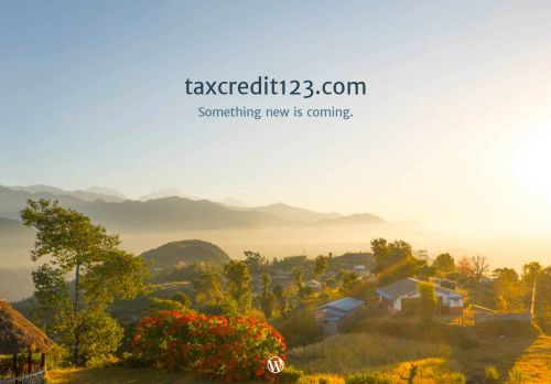 taxcredit123.com capture - 2025-08-17 09:19:51