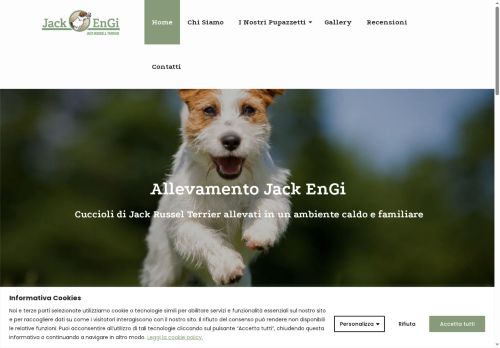 jackengi.com capture - 2025-08-17 12:25:09