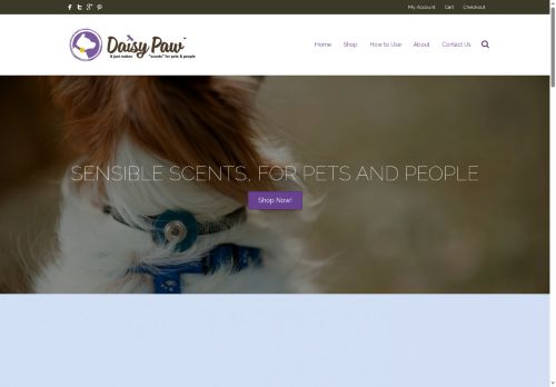 magiconthemountain.com capture - 2025-08-17 13:28:10