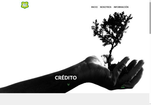 coomibol.com capture - 2025-08-17 17:40:47