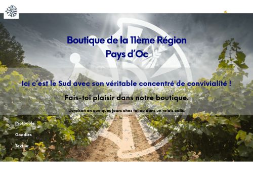 trf11region-boutique.com capture - 2025-08-17 18:47:29