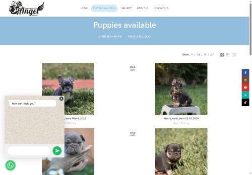 familypei.com capture - 2025-08-18 10:00:12