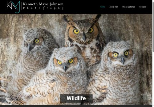 kennethmayojohnsonphoto.com capture - 2025-08-18 10:37:14