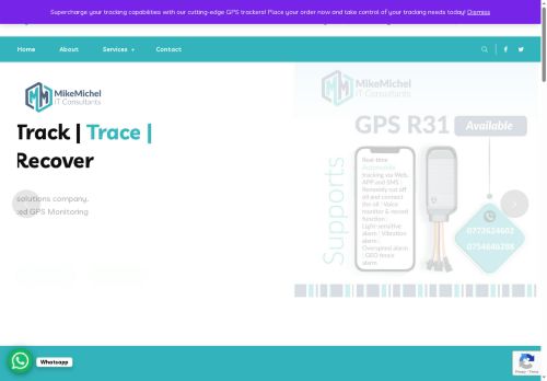 michelitconsults.com capture - 2025-08-18 13:39:39