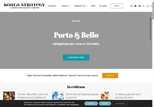 koalastrategy.com capture - 2025-08-18 14:20:13