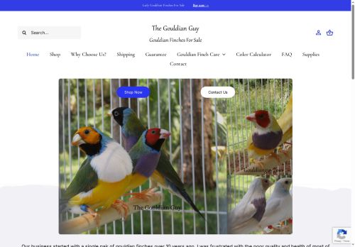 gouldianfinchesforsale.com capture - 2025-08-20 22:13:26