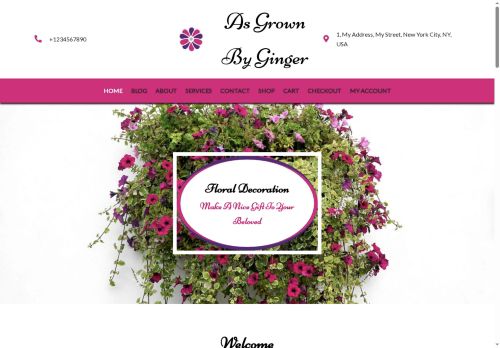 asgrownbyginger.com capture - 2025-08-20 23:25:19