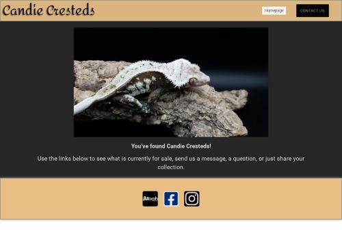 candiecresteds.com capture - 2025-08-21 00:24:07