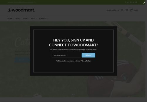 halfpacehurling.com capture - 2025-08-21 00:57:29