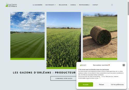 lesgazonsdorleans.com capture - 2025-08-21 02:54:00