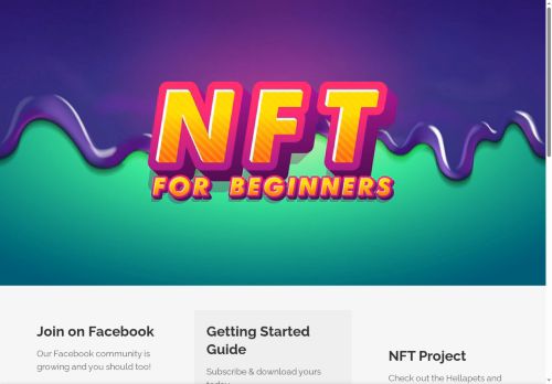 thenftbeginner.com capture - 2025-08-21 03:05:02