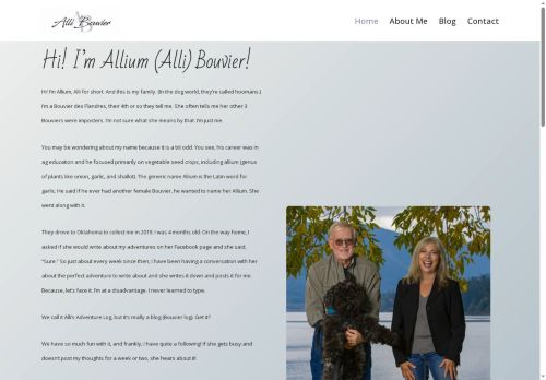 allibouvier.com capture - 2025-08-21 03:56:41