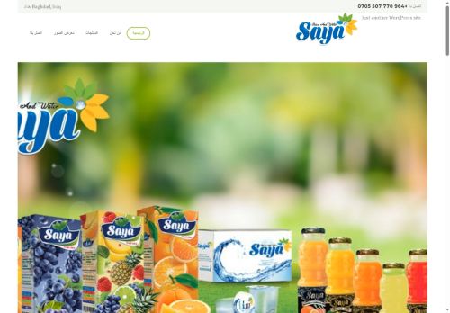 dijlhalkhair.com capture - 2025-08-21 12:44:11