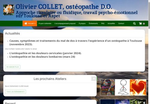 osteopathe-toulouse-holoresonance.com capture - 2025-08-21 13:46:31